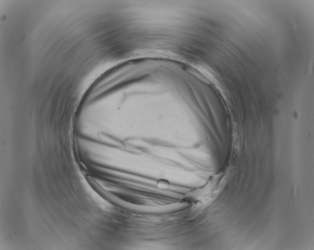X0000088161438200706121550