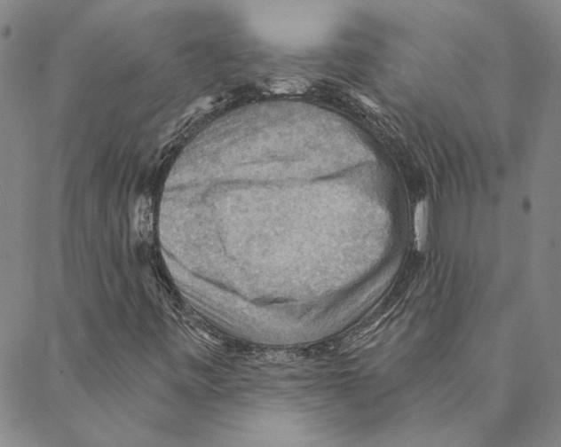 X0000088161443200706121549