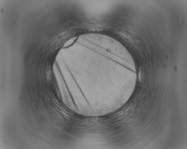X0000088161444200706121549