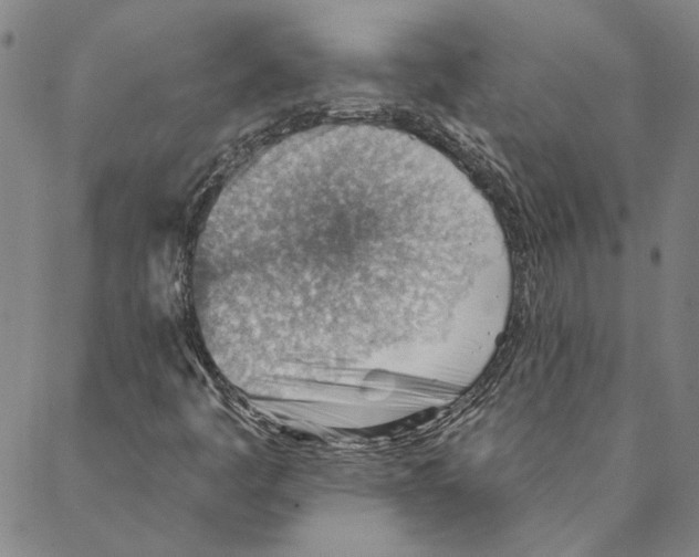 X0000088161445200706121549
