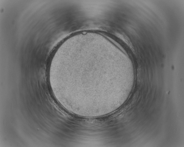 X0000088161452200706121549