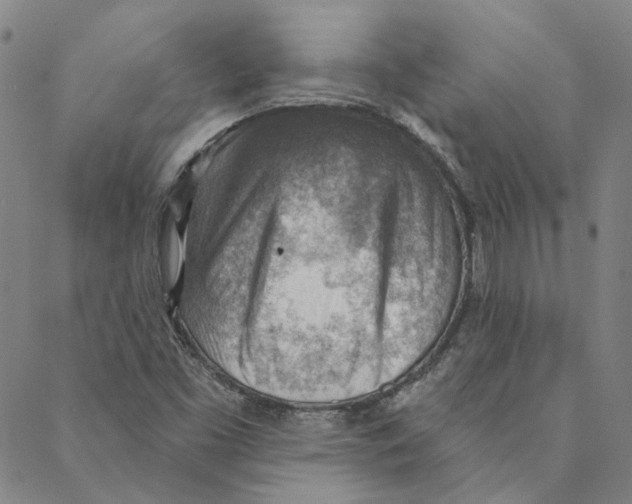 X0000088161453200706121549