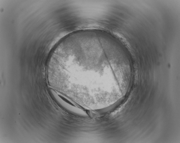 X0000088161457200706121549