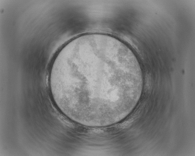 X0000088161462200706121549