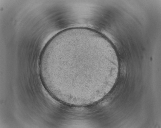 X0000088161468200706121549