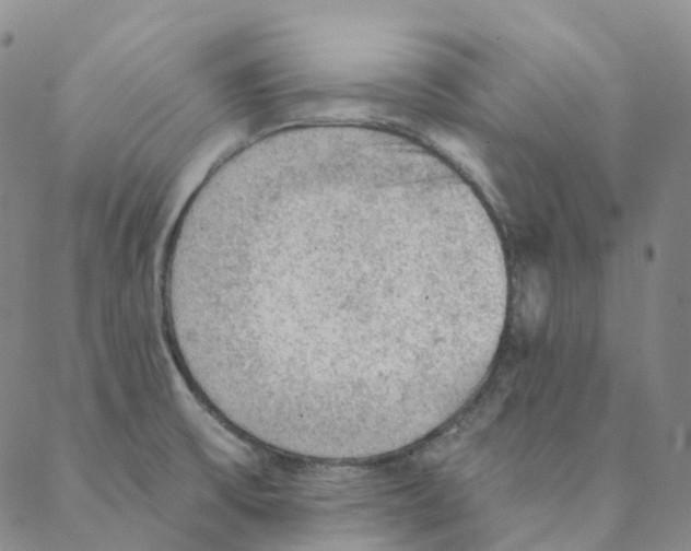 X0000088161475200706121549