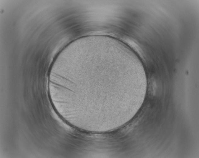 X0000088161476200706121549