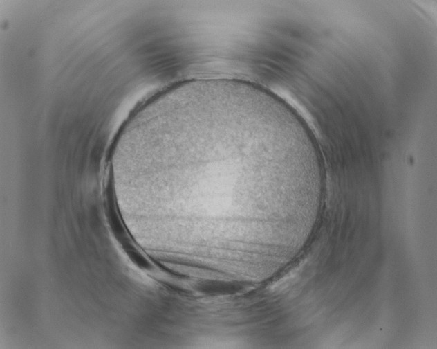 X0000088161477200706121549