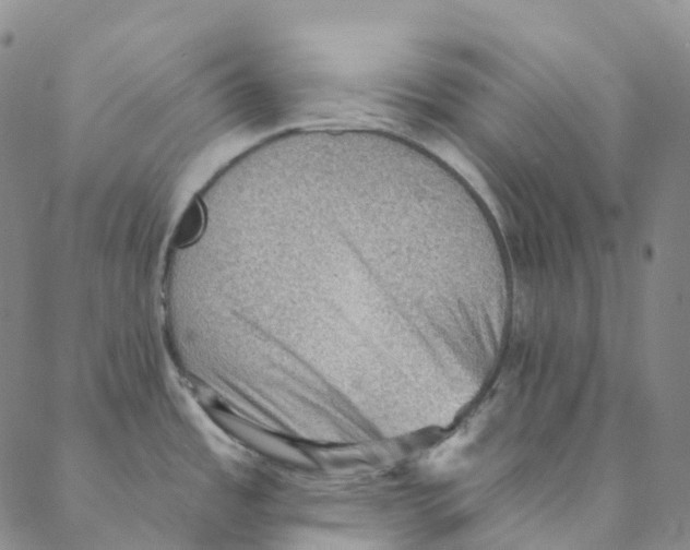 X0000088161485200706121549