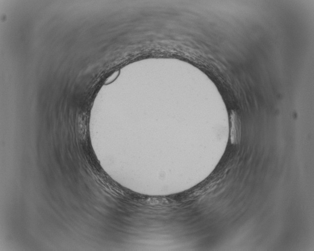 X0000088161491200706121548