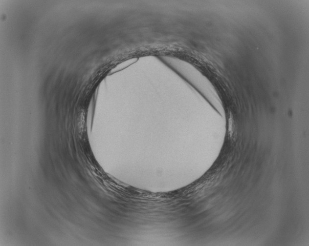 X0000088161492200706121548