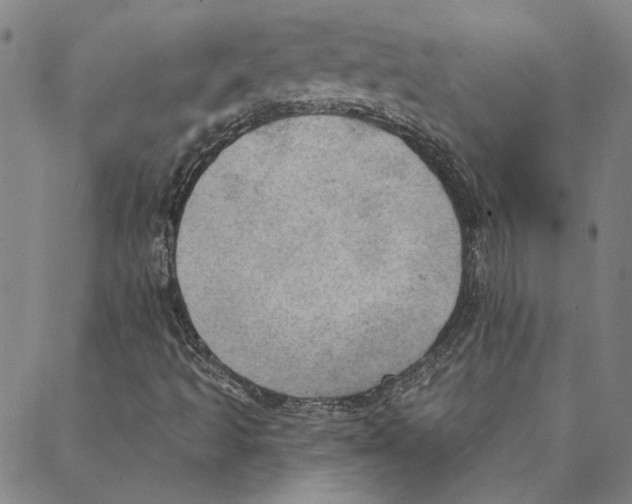 X0000088161493200706121548