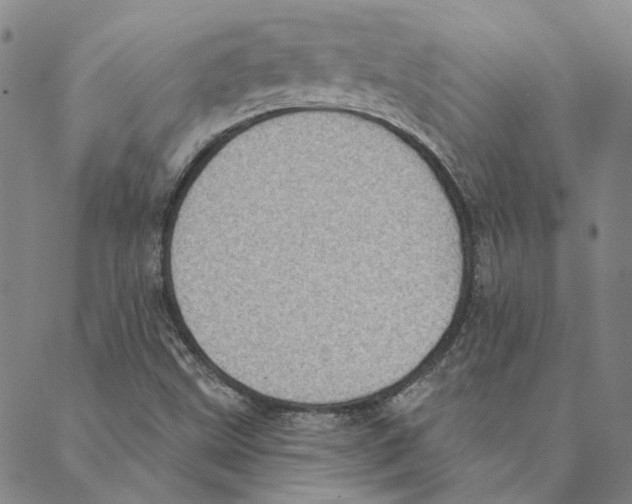 X0000088161499200706121548