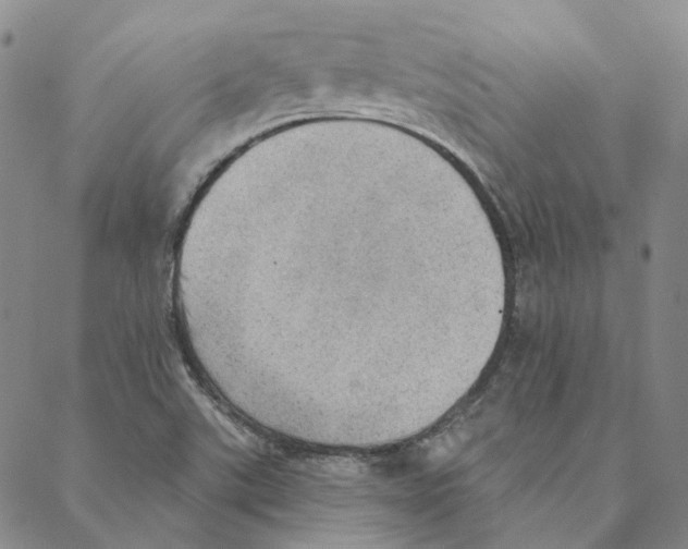 X0000088161507200706121548