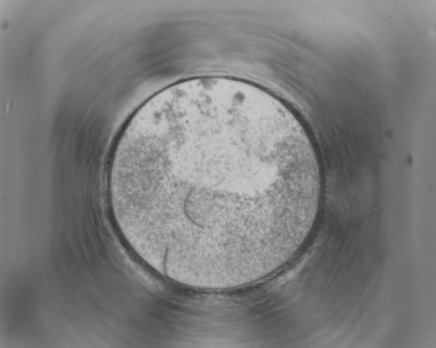 X0000088161517200706121548