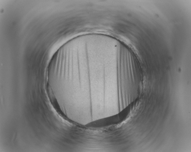 X0000088161520200706121548