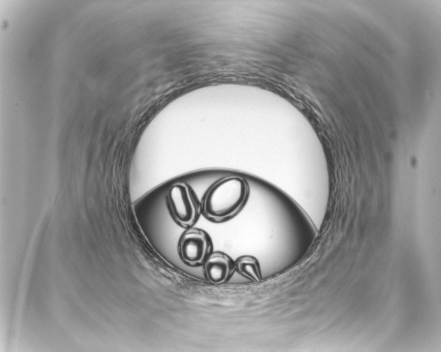 X0000088170033200705151002