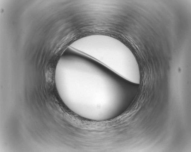 X0000088170044200705151002