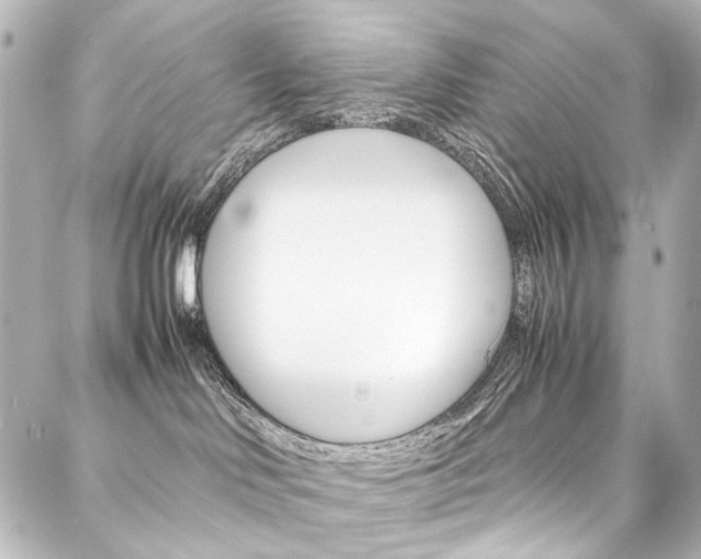 X0000088170046200705151001