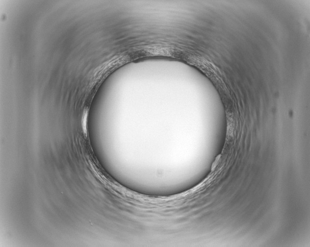 X0000088170047200705151001