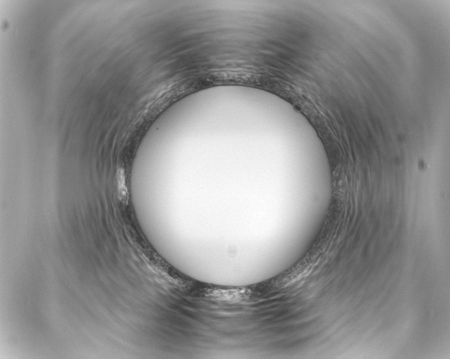 X0000088170089200705151001