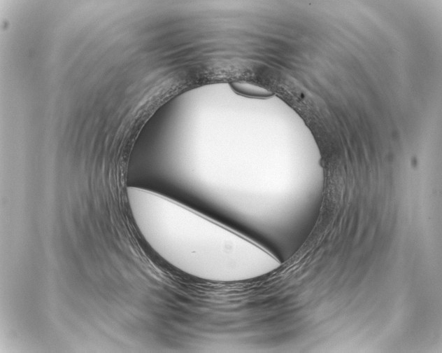 X0000088170091200705151001