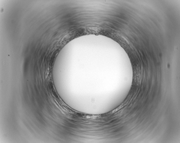 X0000088170134200705151000