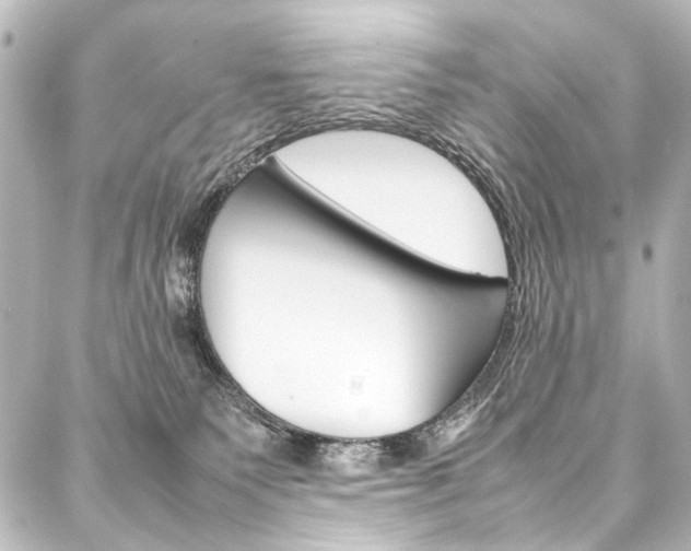 X0000088170135200705151000