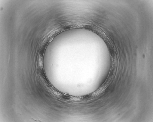 X0000088170143200705151000