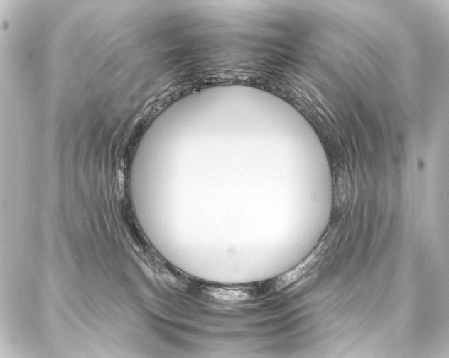 X0000088170183200705151000