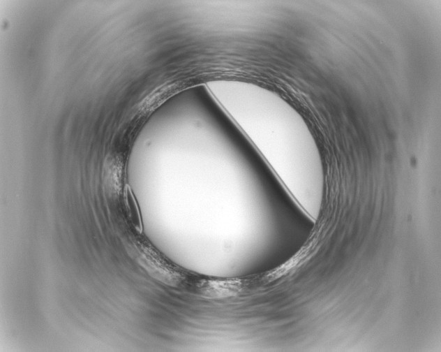 X0000088170188200705151000