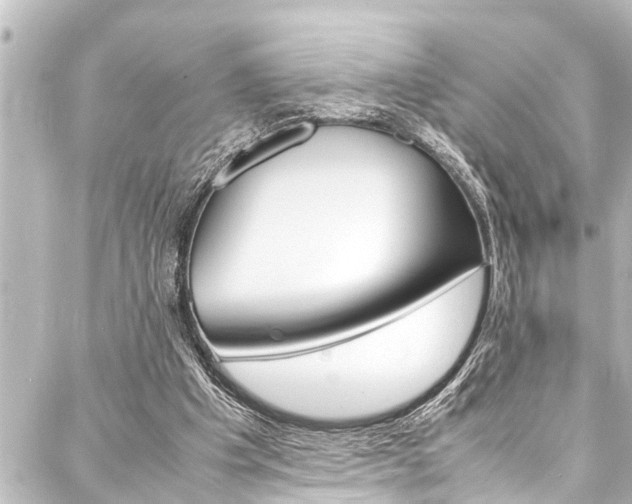 X0000088170201200705150959