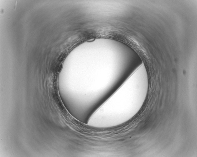 X0000088170217200705150959