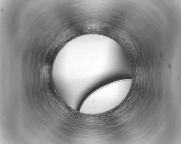 X0000088170232200705150958