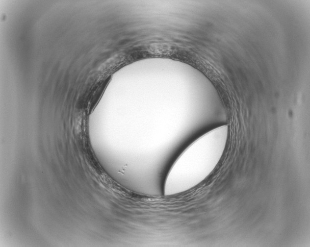 X0000088170233200705150958