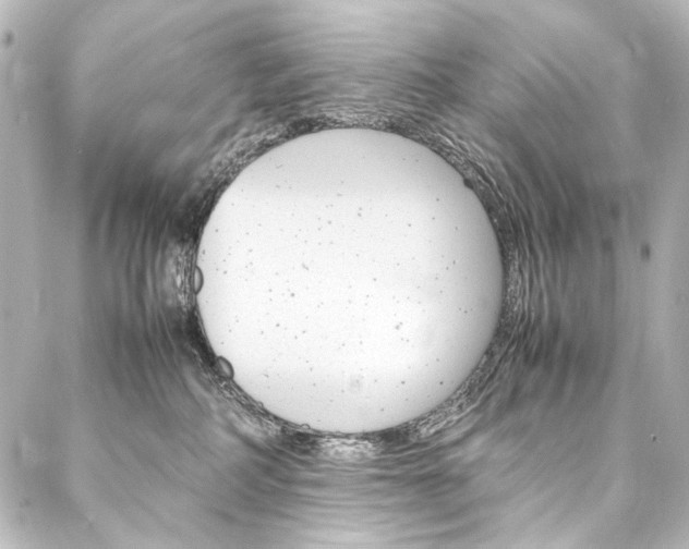 X0000088170234200705150958