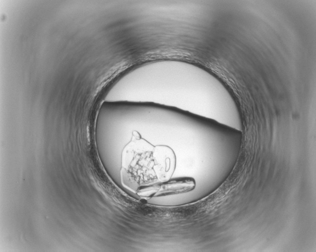 X0000088170254200705150958