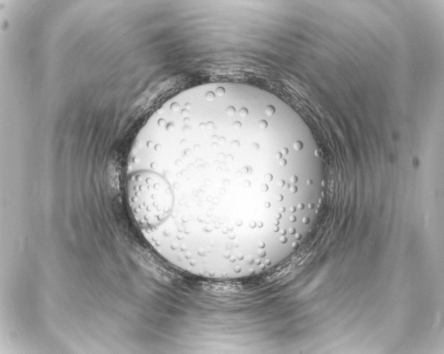 X0000088170282200705150958