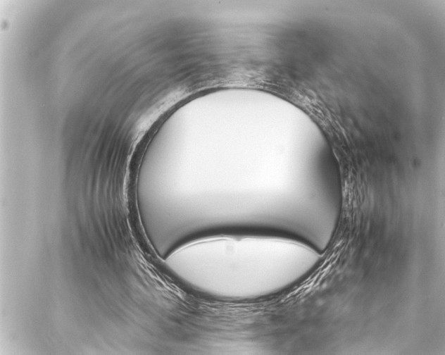 X0000088170292200705150957