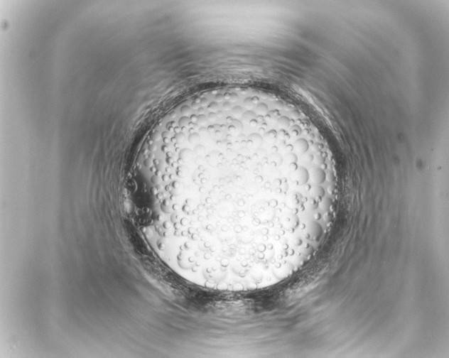 X0000088170307200705150957