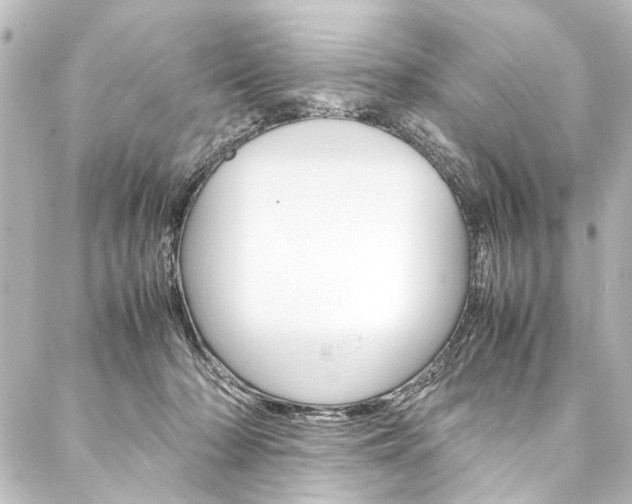 X0000088170318200705150957
