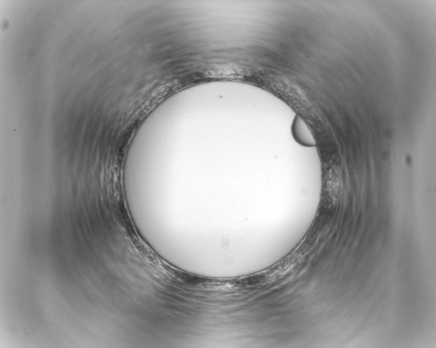 X0000088170322200705150957