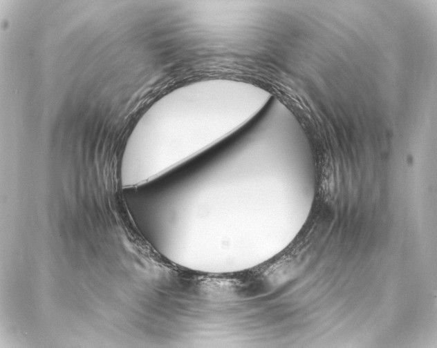 X0000088170332200705150957