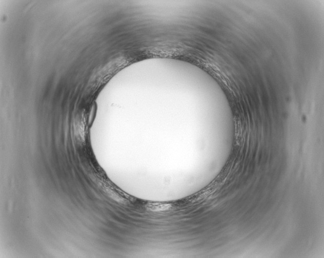 X0000088170334200705150957