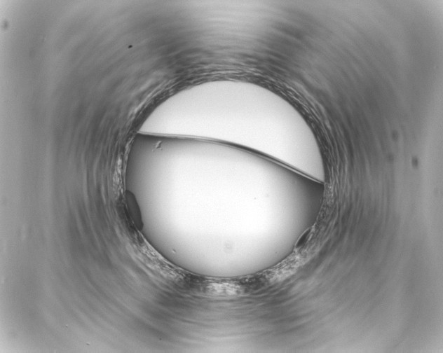 X0000088170376200705150957