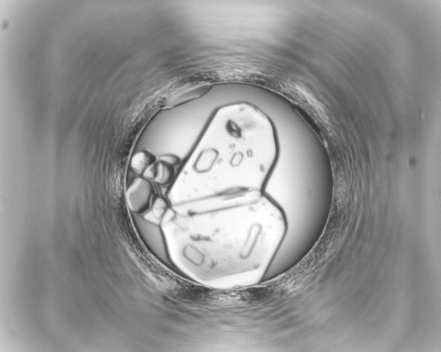X0000088170405200705150956