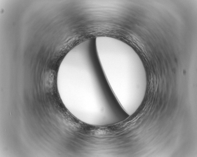 X0000088170412200705150956