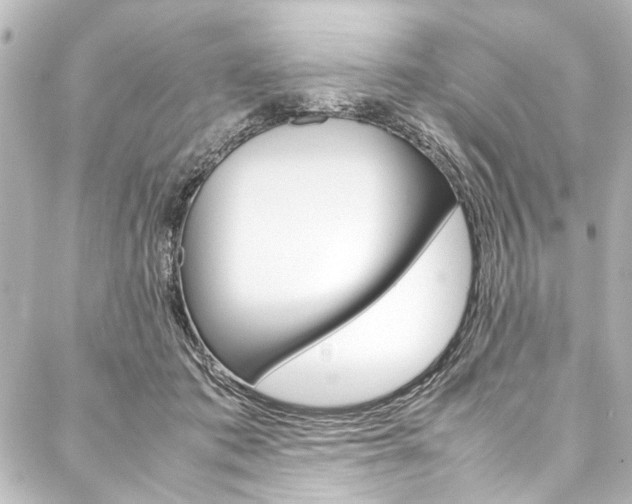X0000088170413200705150956