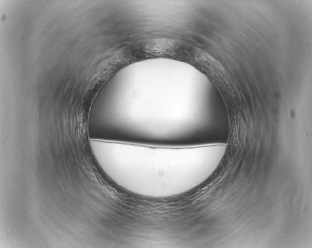 X0000088170420200705150955