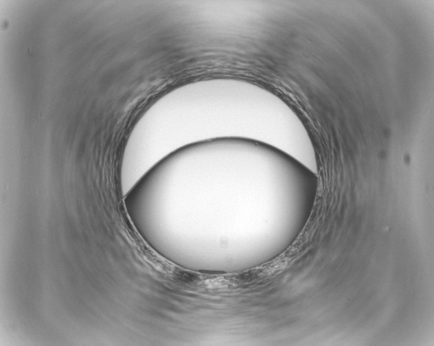 X0000088170423200705150955